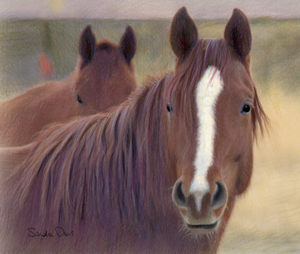 Red Horses by Sandra Davis